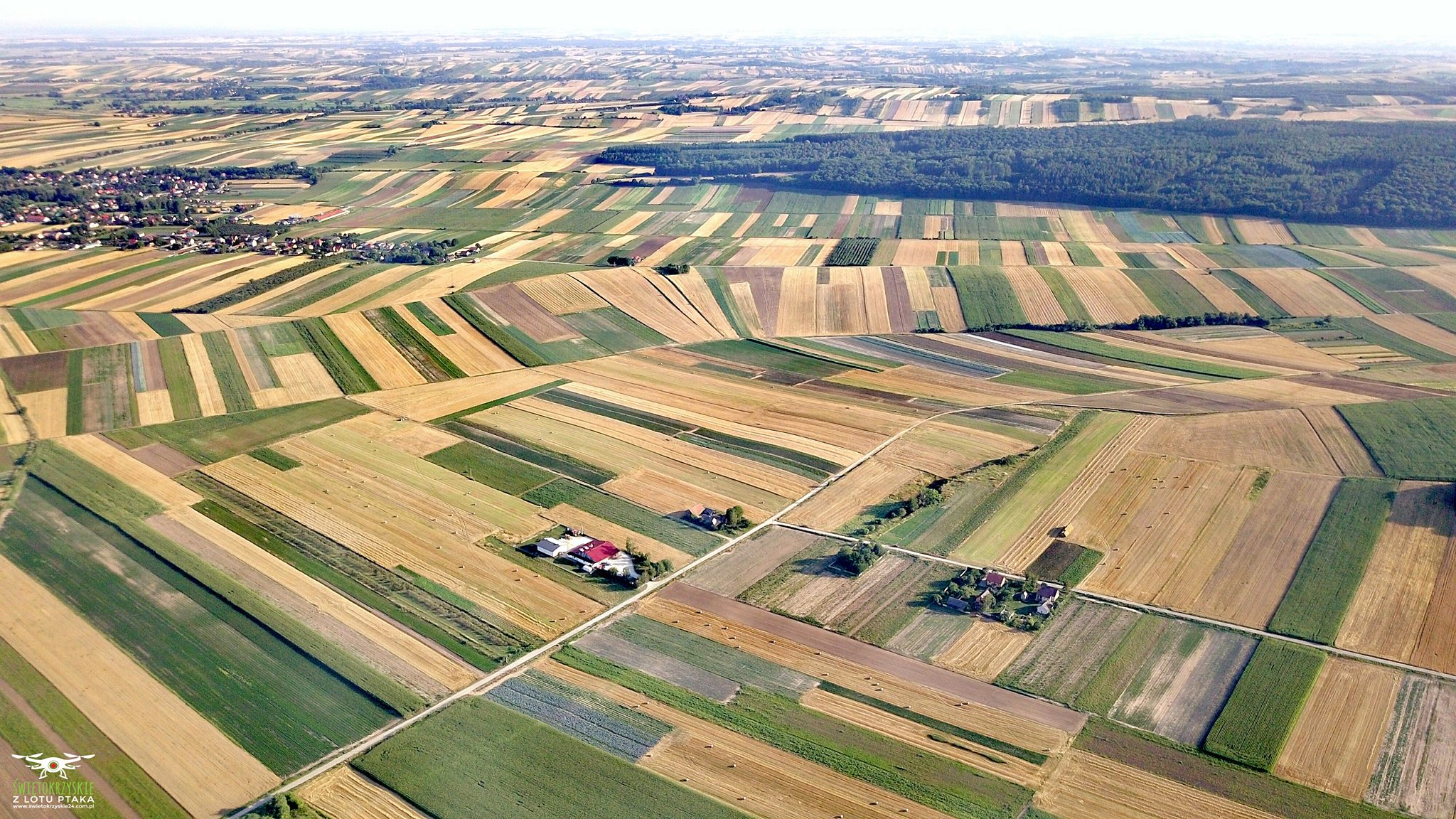 AGROPOLE tuotantolaitos – kuivatut vihannekset, yrtit, mausteet